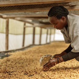 Coffee Africa